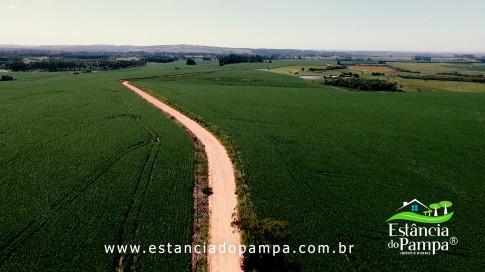 INICIO 3.00_01_00_07.Quadro010_3d7d3022be0a4399916bf6e30a5d70cd887fc221.jpg